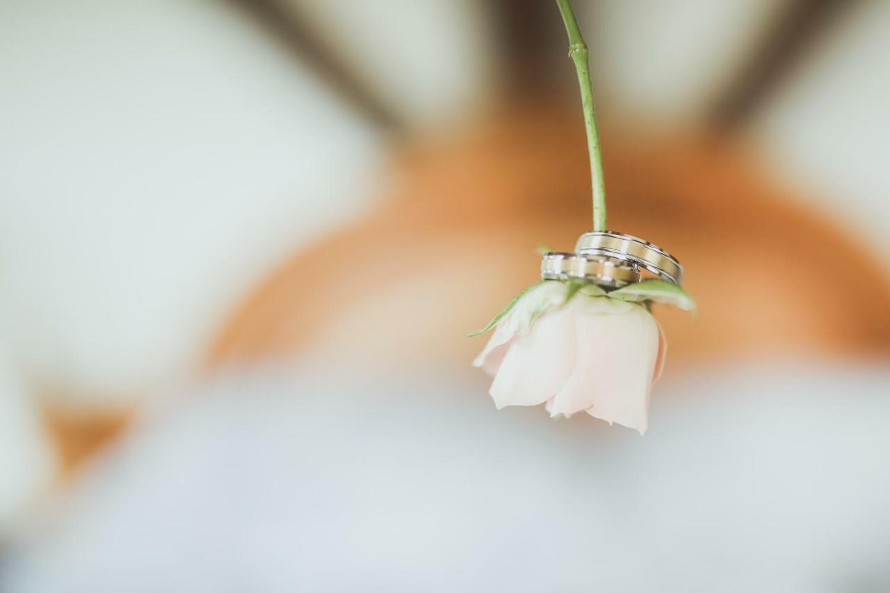 ロズヴァドフ Sancta Katharinaゲストハウス エクステリア 写真